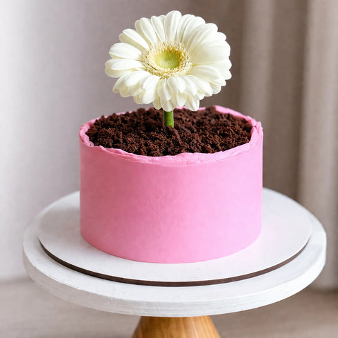 Handgefertigte Torte zum Muttertag – frisch auf Bestellung, Lieferung in Linz.