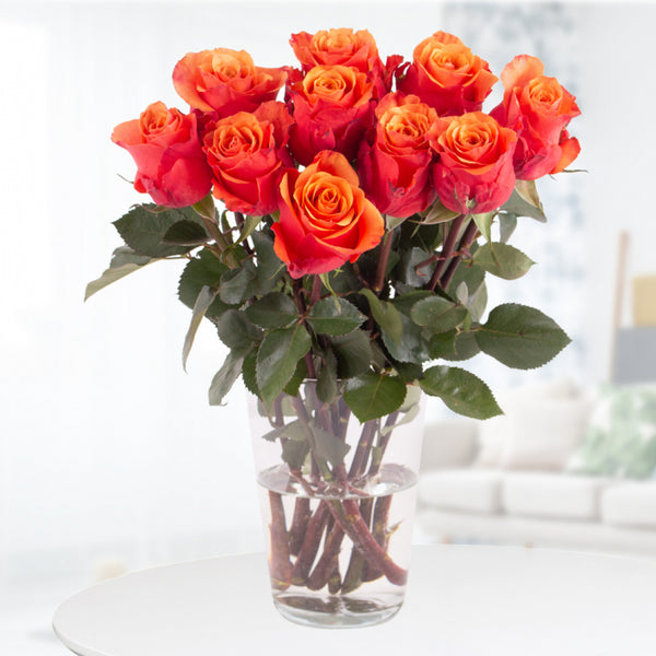 Feuriger Glanz - 10 orange Rosen für Energie und Leidenschaft