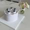 Reine Beeren Brise - Bento Cake Beeren-Brise
