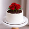 Handgefertigte Rosenbeet Torte zum Muttertag – frisch auf Bestellung, Lieferung in Linz