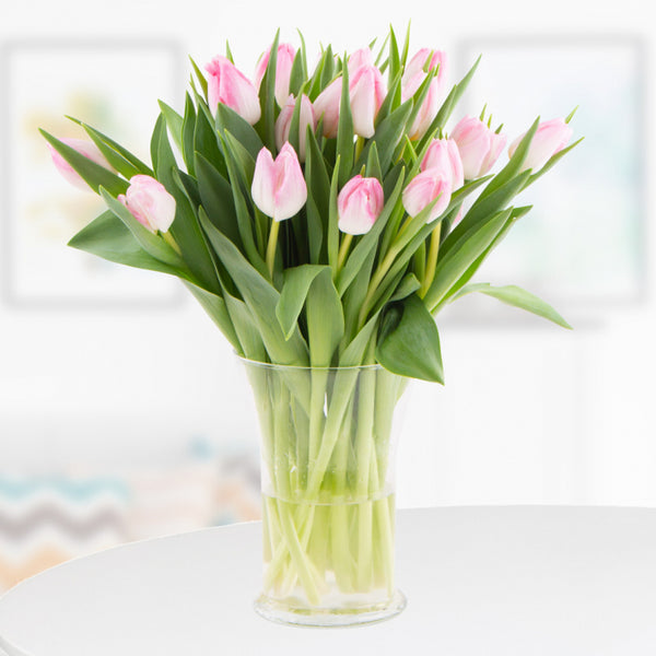 Frühlingserwachen - Elegante rosa Tulpen in zarter Romantik