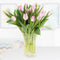 Frühlingserwachen - Elegante rosa Tulpen in zarter Romantik